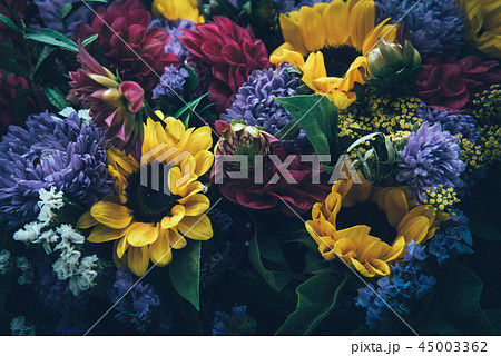 Beautiful fairy dreamy magic flowers. 45003362
