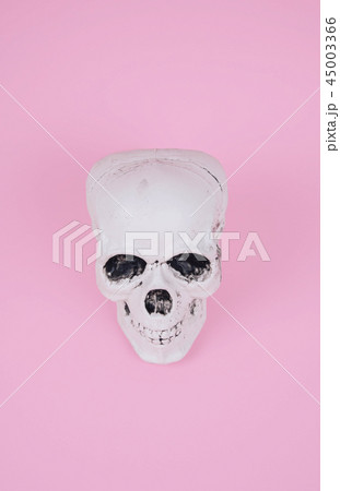 Skull on trendy pastel pink background. 45003366