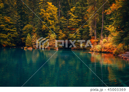 Autumn time at romantic forest lake Blausee, Switzerland. 45003369