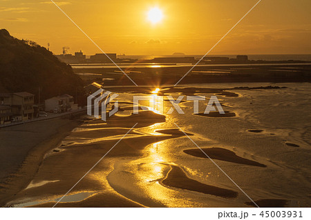 新舞子浜干潟　日の出 45003931