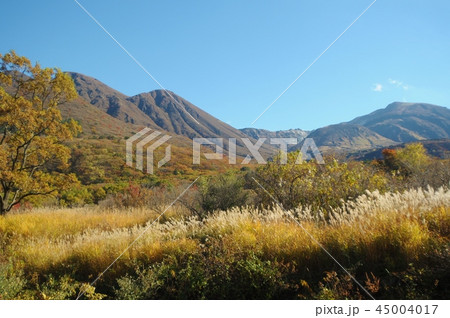 秋の九重高原 45004017