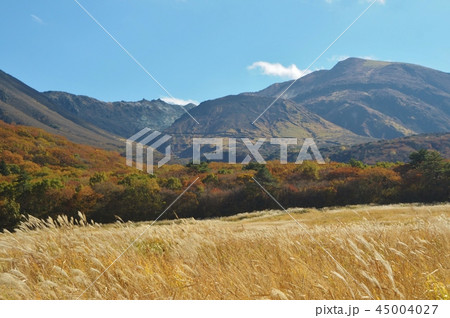 秋の九重高原 45004027