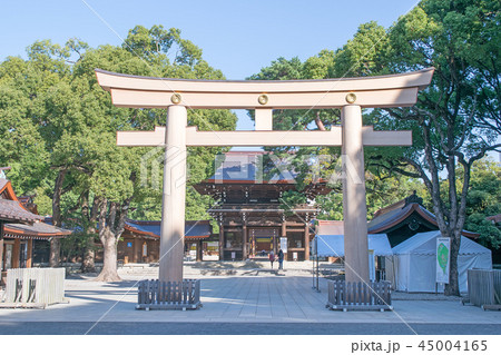 明治神宮　南神門前　第三鳥居（南玉垣鳥居・三の鳥居） 45004165