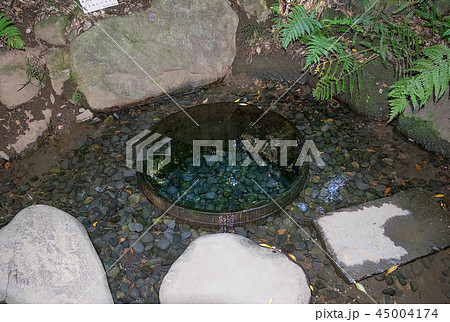 東京都 明治神宮御苑 清正井 きよまさいど の写真素材