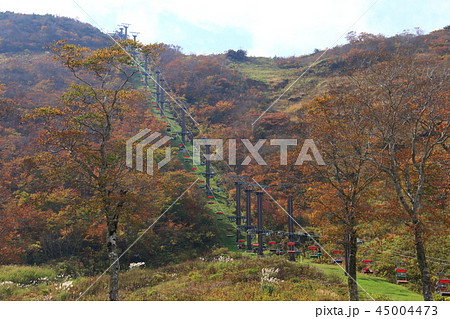 秋の谷川岳　紅葉の天神平と峠リフト 45004473