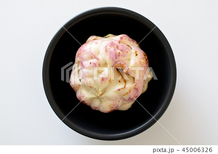 ゆり根 ゆり根 45006326