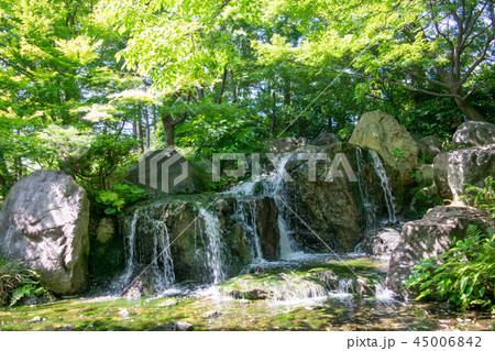 名古屋市 白鳥庭園 初夏 名古屋市 白鳥庭園 初夏 45006842