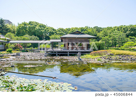 名古屋市　白鳥庭園　初夏 45006844