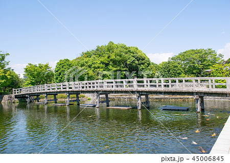 名古屋市　白鳥庭園　初夏 45006845