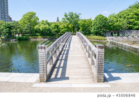 名古屋市　白鳥庭園　初夏 45006846