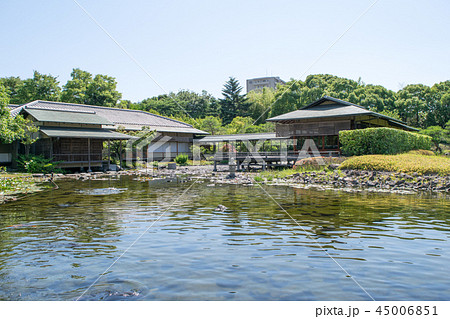 名古屋市　白鳥庭園　初夏 45006851