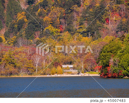 日光&奥日光&中禅寺湖紅葉 日光&奥日光&中禅寺湖紅葉 45007483