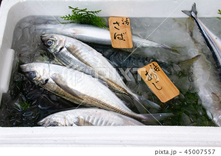 魚屋さんに並んだサンマ、アジ 魚屋さんに並んだサンマ、アジ 45007557