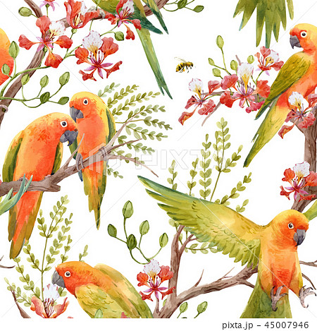 Watercolor tropical parrots vector pattern Watercolor tropical parrots vector pattern 45007946