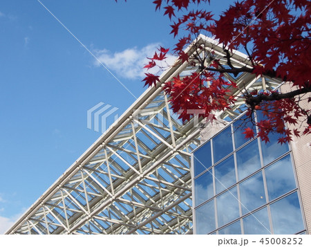 紅葉と青空 45008252