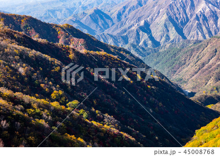 山の紅葉 朝の陽が射す赤倉山西斜面の紅葉と久蔵沢　日光 半月山駐車場展望台から 45008768