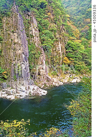 面河渓 45009336