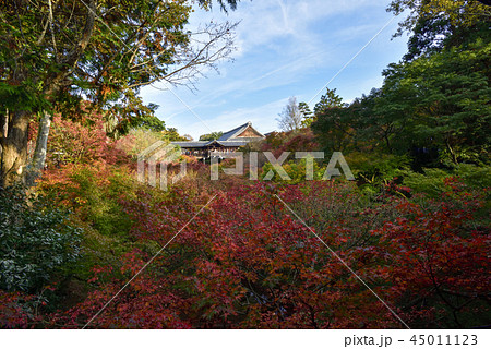 東福寺 通天橋 東福寺 通天橋 45011123