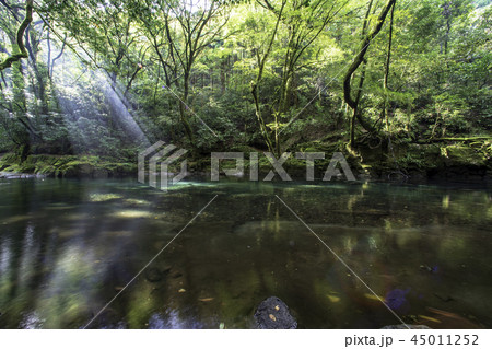 風景 風景 45011252