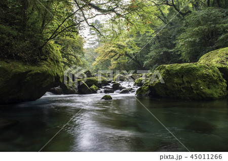 風景 風景 45011266