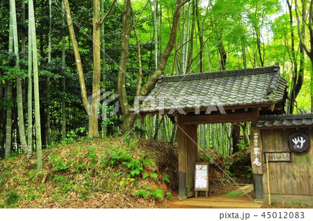 七沢温泉薬師林道沿い　元湯玉川館食事処「草庵」の門と竹林 45012083