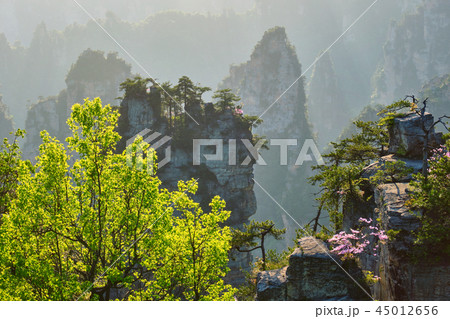 Zhangjiajie mountains, China 45012656