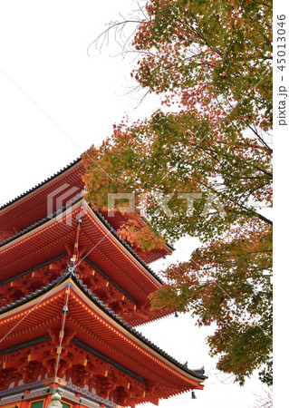 清水寺　三重塔 45013046