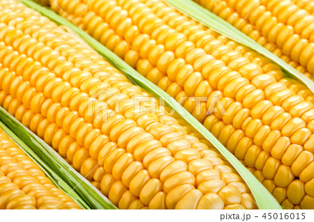 close-up view of fresh corn 45016015