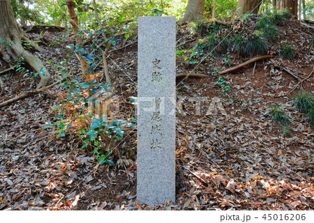 増尾城址総合公園 増尾城跡地　石碑 45016206