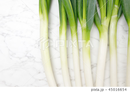 野菜　ネギ　深ネギ　白ネギ 45016654