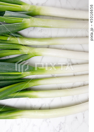 野菜 ネギ 深ネギ 白ネギ 野菜 ネギ 深ネギ 白ネギ 45016656