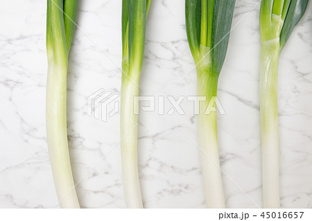 野菜　ネギ　深ネギ　白ネギ 45016657
