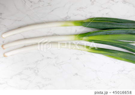 野菜 ネギ 深ネギ 白ネギ 野菜 ネギ 深ネギ 白ネギ 45016658