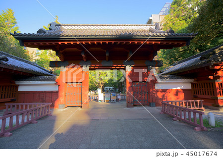 東大赤門 東大赤門 45017674
