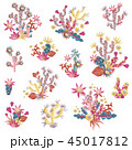 Plasticine succulent with flowers illustration. Bouquets and arr 45017812