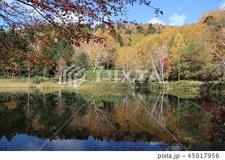 万座高原 牛池の紅葉 万座高原 牛池の紅葉 45017956