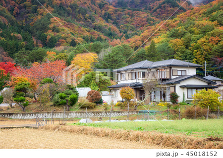 Japanese house near mountain valley in autumn 45018152