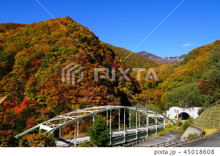紅葉の雁坂トンネル 紅葉の雁坂トンネル 45018608