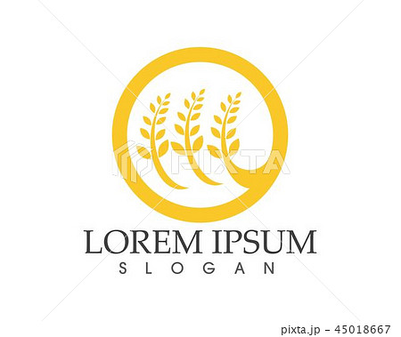 rice food meal logo and symbols template icons 45018667