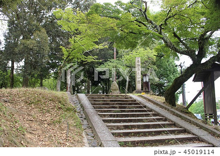 奈良公園 奈良公園 45019114