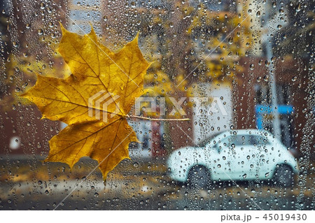 Autumn in the city Autumn in the city 45019430