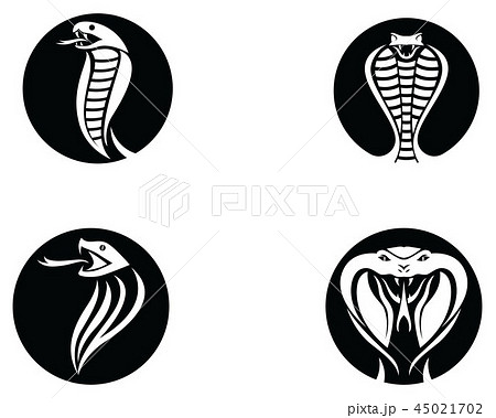 Viper Snake Logo Design Element のイラスト素材