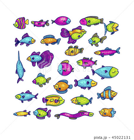 Colorful Swimming Marine Fish In Setのイラスト素材