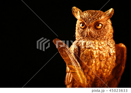 Gold owl figure studio Gold owl figure studio 45023633