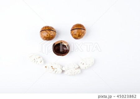 Macadamia nut white background almond Macadamia nut white background almond 45023862