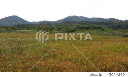 八甲田山 45024860
