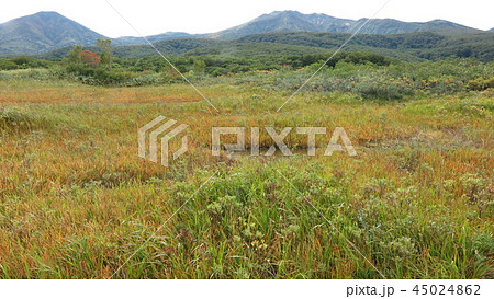 八甲田山 45024862