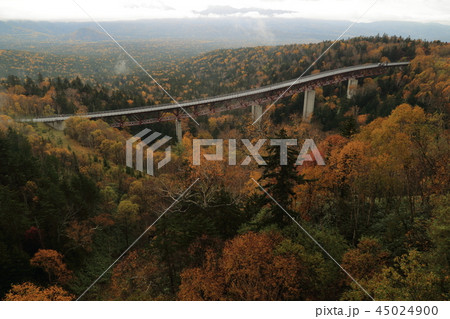 北海道 三国峠の紅葉 北海道 三国峠の紅葉 45024900