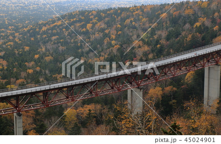 北海道 三国峠の紅葉 北海道 三国峠の紅葉 45024901