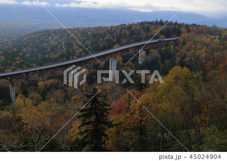 北海道 三国峠の紅葉 45024904